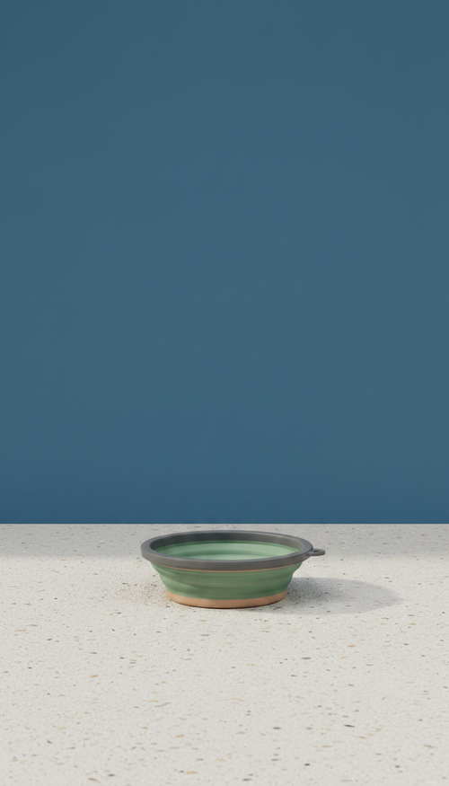 Collapsible Silicone Travel Bowl in a new setting